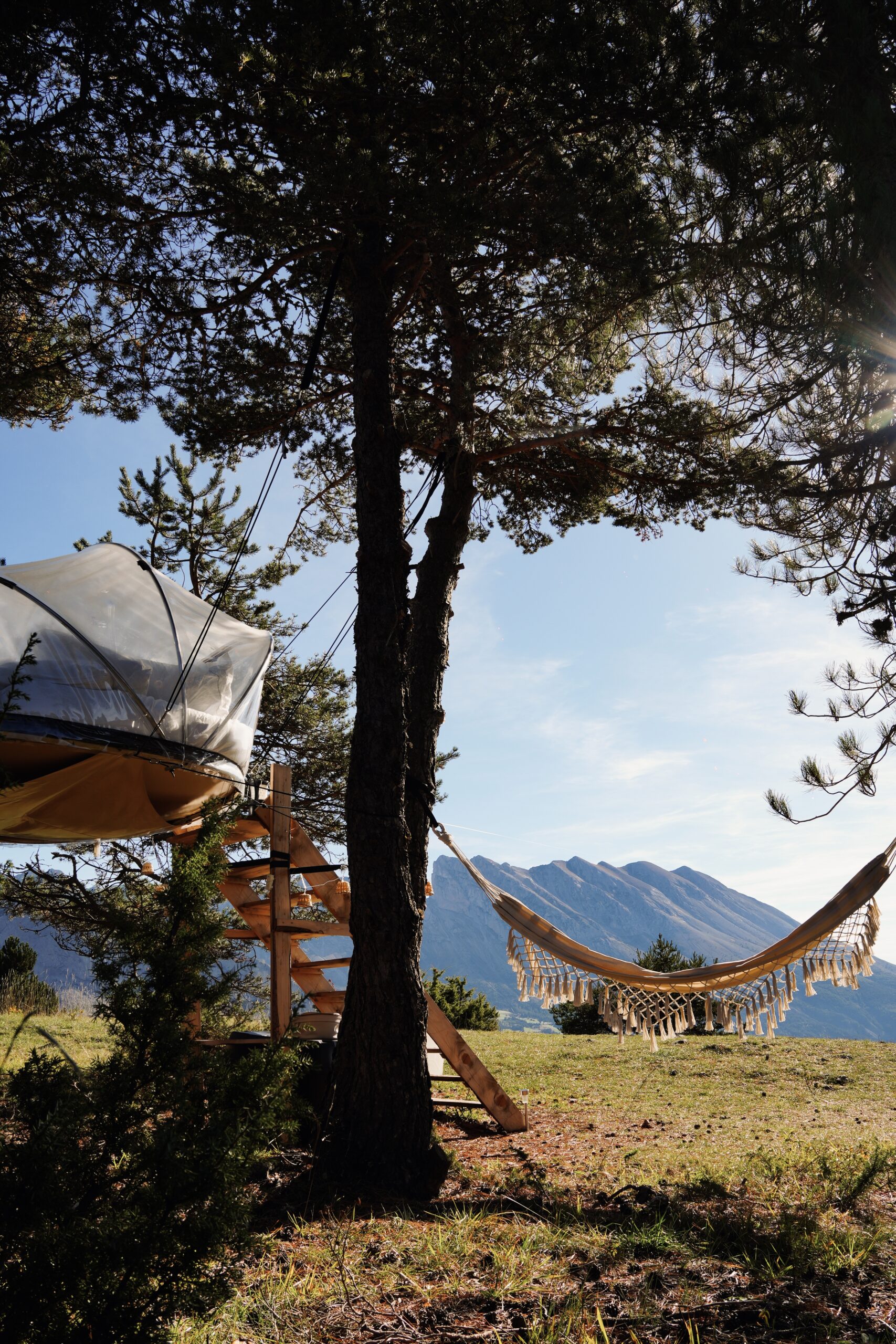 agence tendance charline humbert, community management, commnication digitale provence, alpes-de-haute-provence hautes-alpes bouches du rhone